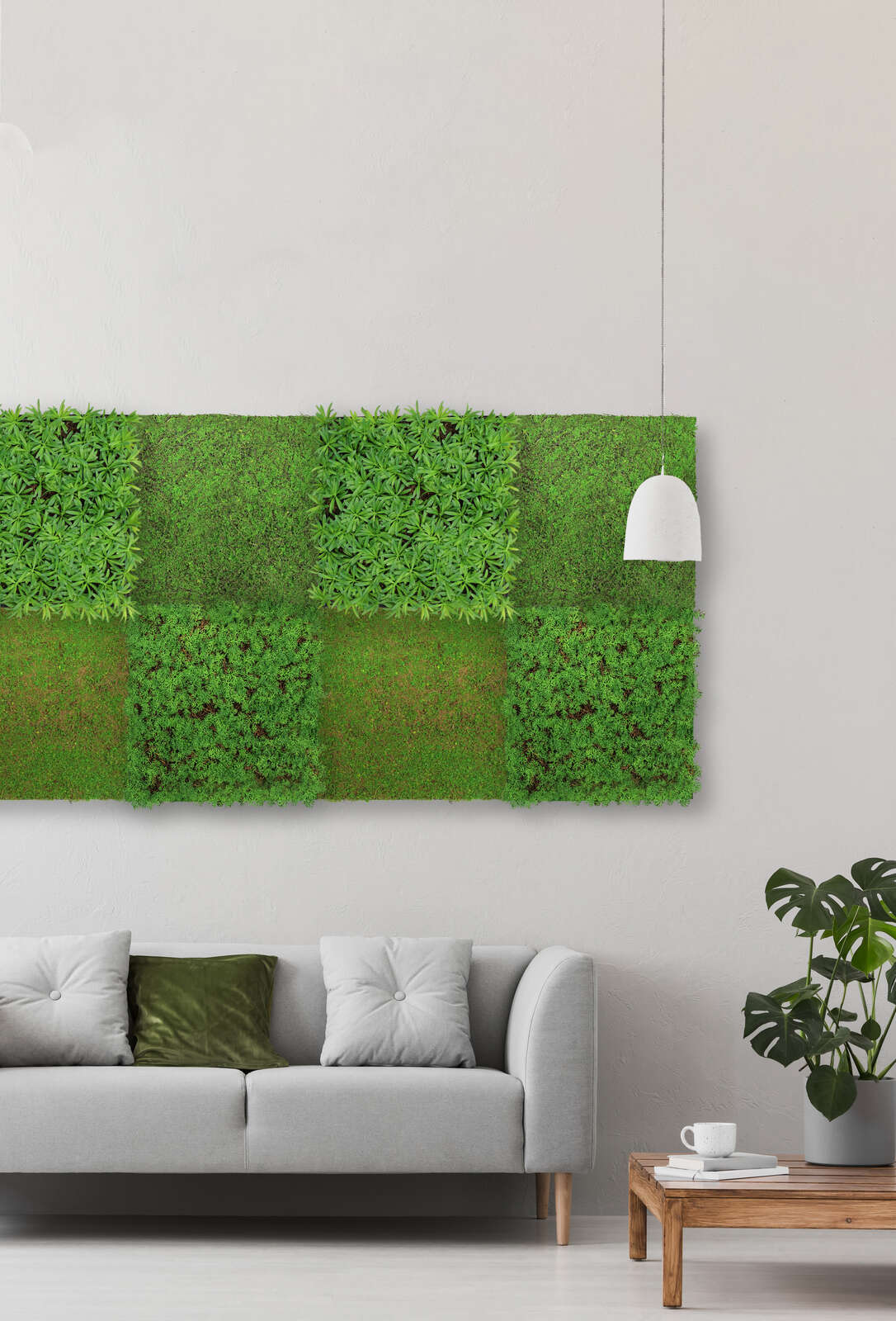 Panel Vegetal Podocarpus Tea Tree - Modular Wall - Foto 9