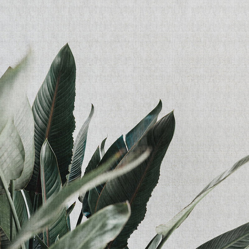 Fotomural Walls by Patel - Urban jungle 1 - Photo wallpaper with palm leaves in natural linen structure - Grey, Green
