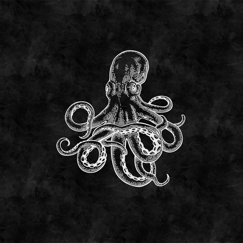 Fotomural Walls by Patel - Black and white photo wallpaper octopus & blackboard look