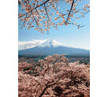 Fotomural Mount Fuji in Japan mural - DD Motive 2