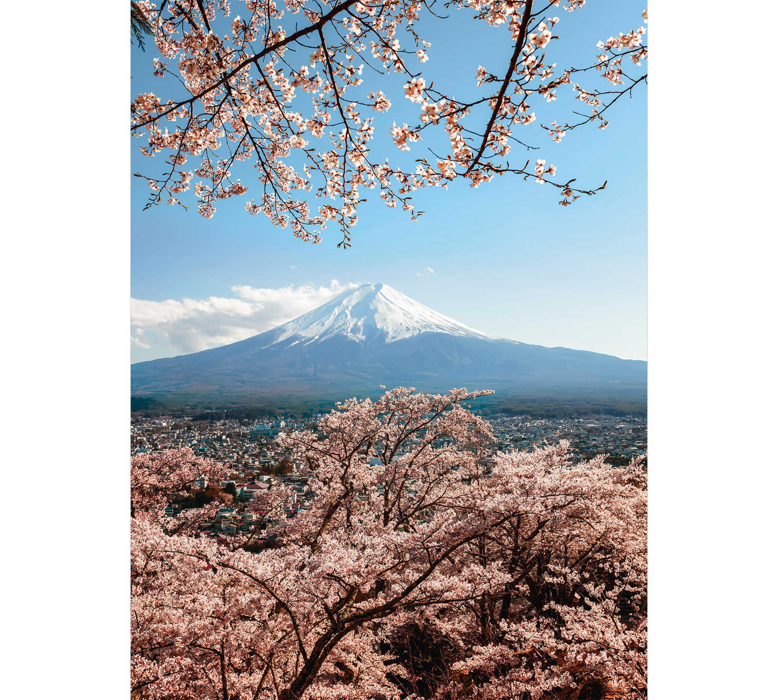 Fotomural Mount Fuji in Japan mural - DD Motive 2