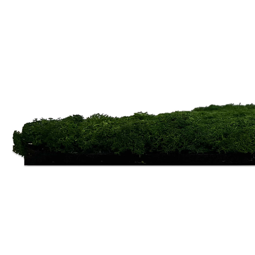 Panel de Musgo Natural Nature Green - Modular Wall - Foto 3