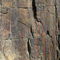 Fotomural AP Digital 1 - Rock Face 1