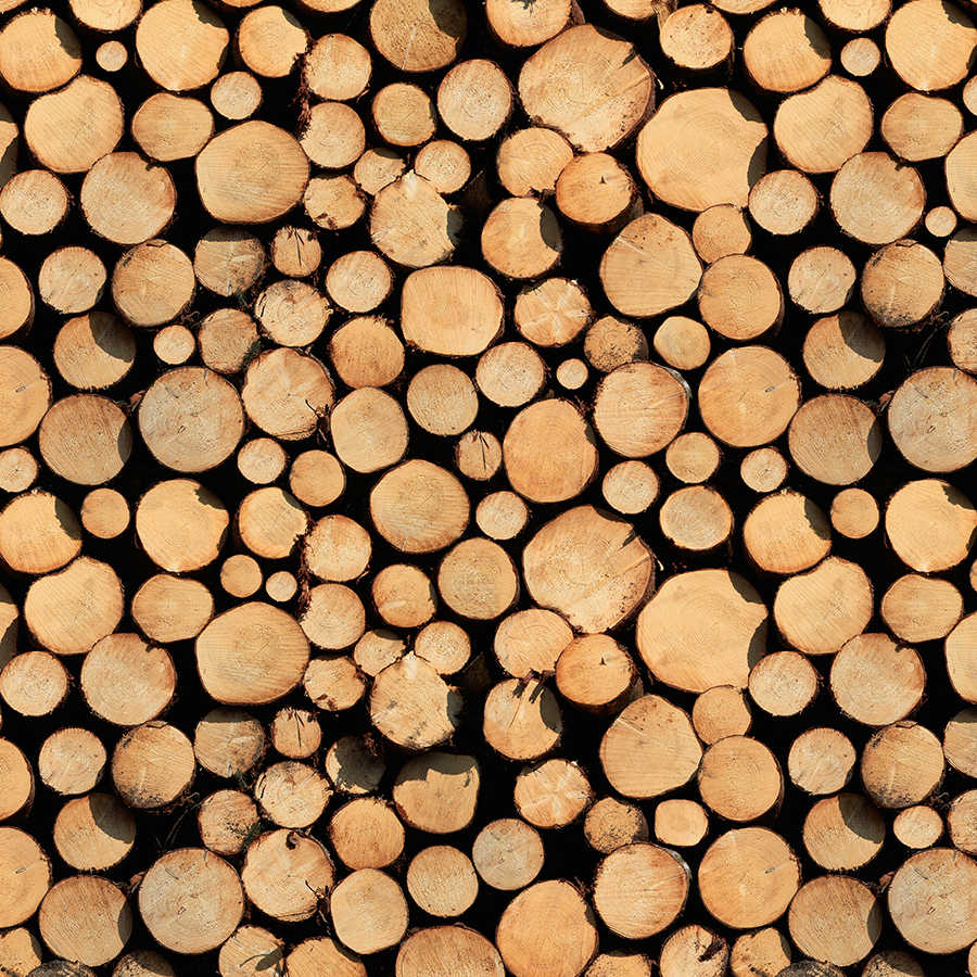 Fotomural AP Digital 1 - Holzstämme