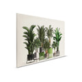 Plant Shop 1 - Lienzo Naturaleza Pintura Plantas en maceta Palmeras
