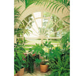 Fotomural DD Motive 2 - Wintergarden