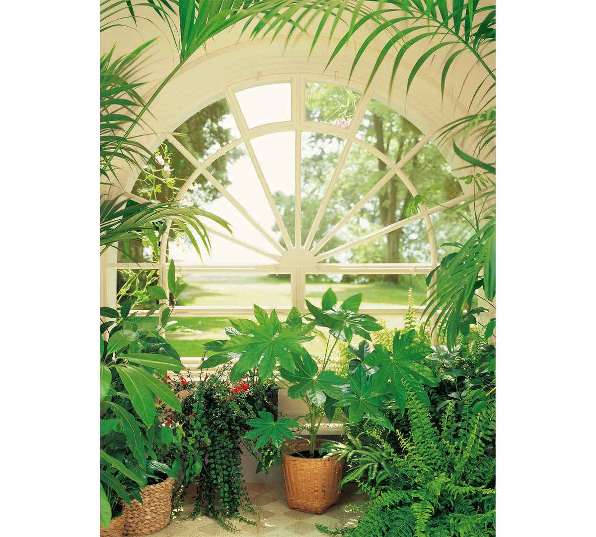Fotomural DD Motive 2 - Wintergarden