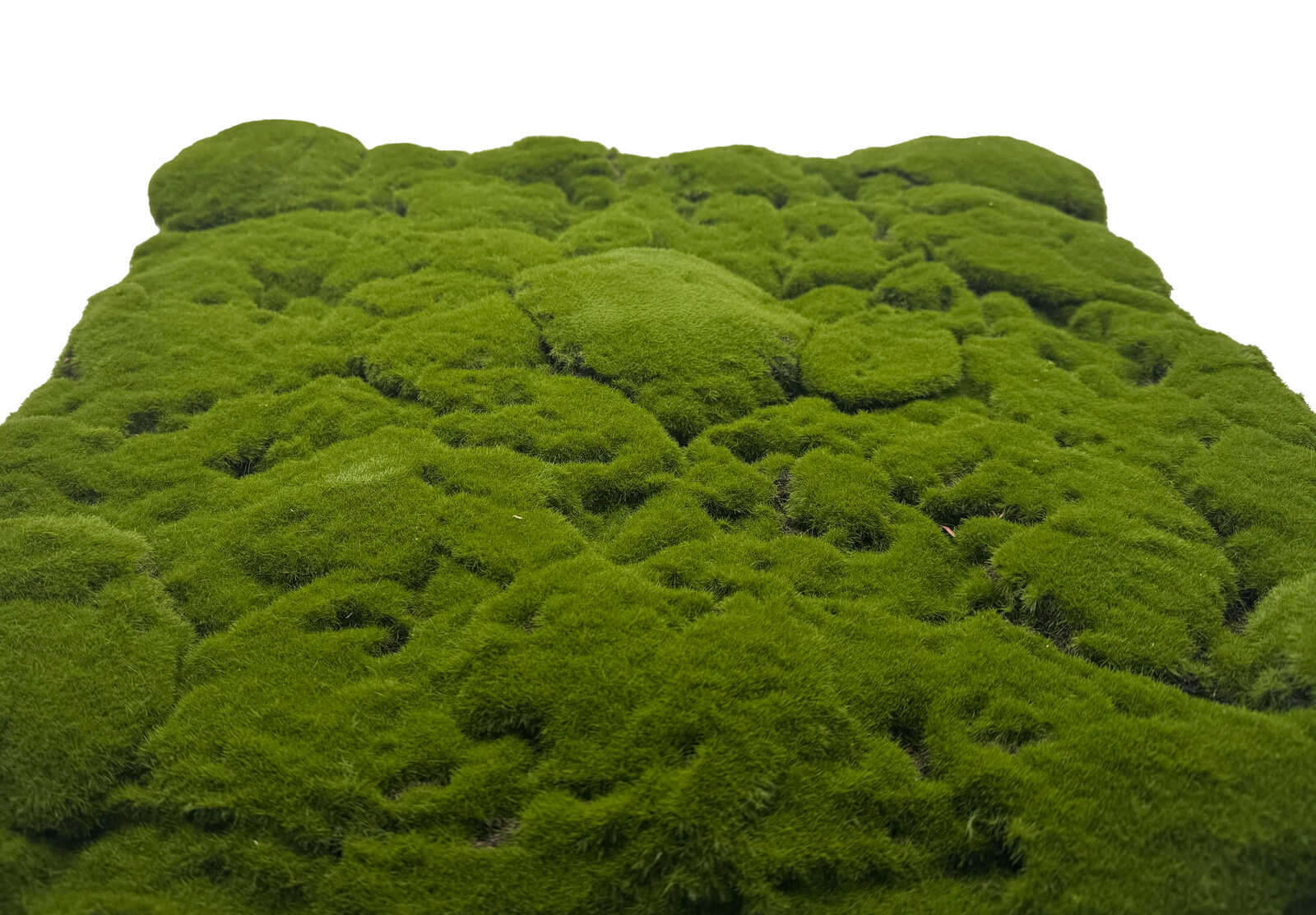 Panel de Musgo de Diseno Forest Green Bulk - Modular Wall - Foto 4