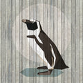 Fotomural Walls by Patel - Born to Be Wild 4 - Photo wallpaper Penguin on board wall - Wooden panels wide - Beige, Blue