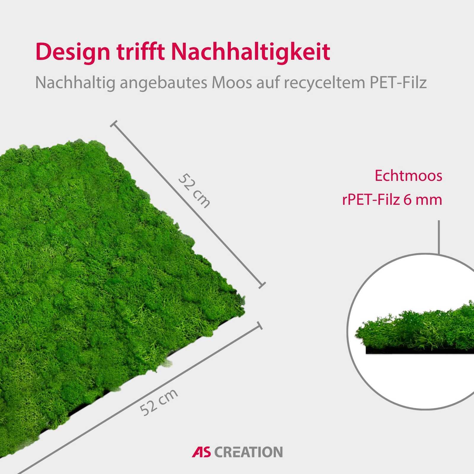 Panel de Musgo Natural Bright Green - Modular Wall - Foto 8