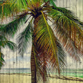 Fotomural Walls by Patel - Tahiti 3 - Palm tree mural with holiday feeling - wood panel structure - Beige, Blue