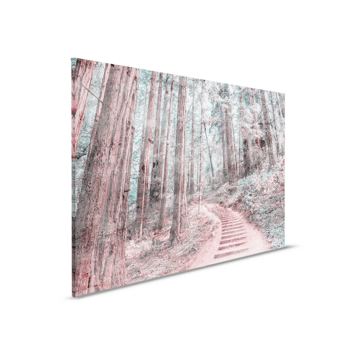 Lienzo con escalera de madera por el bosque | marrón, verde, blanco