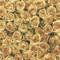 Fotomural Panel XXL 5 - Plants mural golden roses on premium smooth fleece