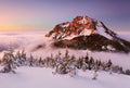 Fotomural Photo wallpaper mountain top with snow - white, brown, green - DD Motive 2