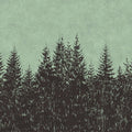 Fotomural Walls by Patel - Forest drawing style fir tops mural