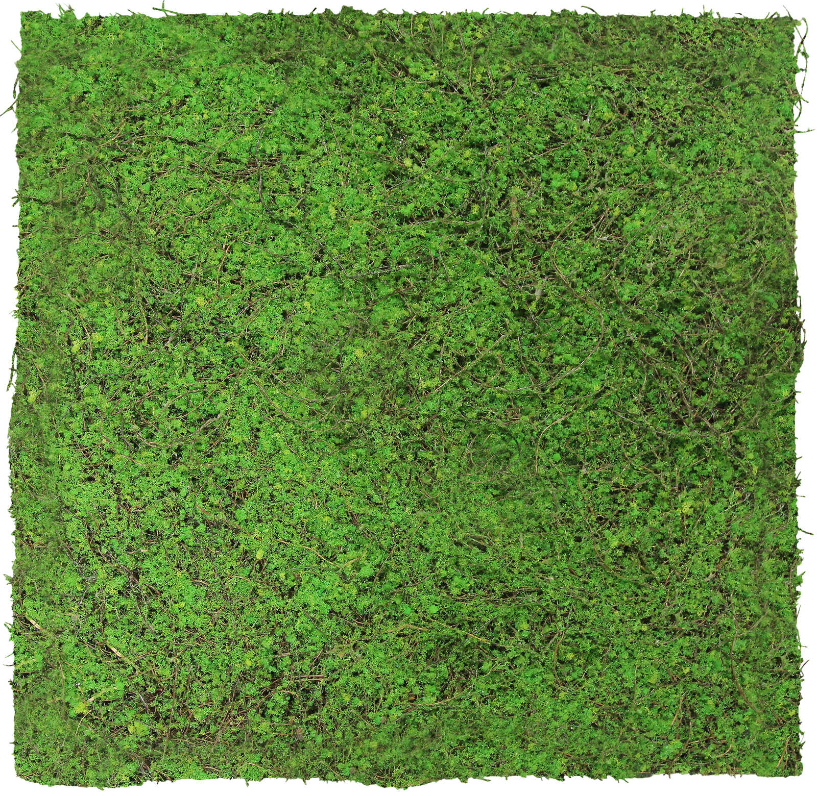 Panel Modular Wall - Feral Green Mixed Flora 52 x 52 x 4 cm (13669-8) - Imagen 15