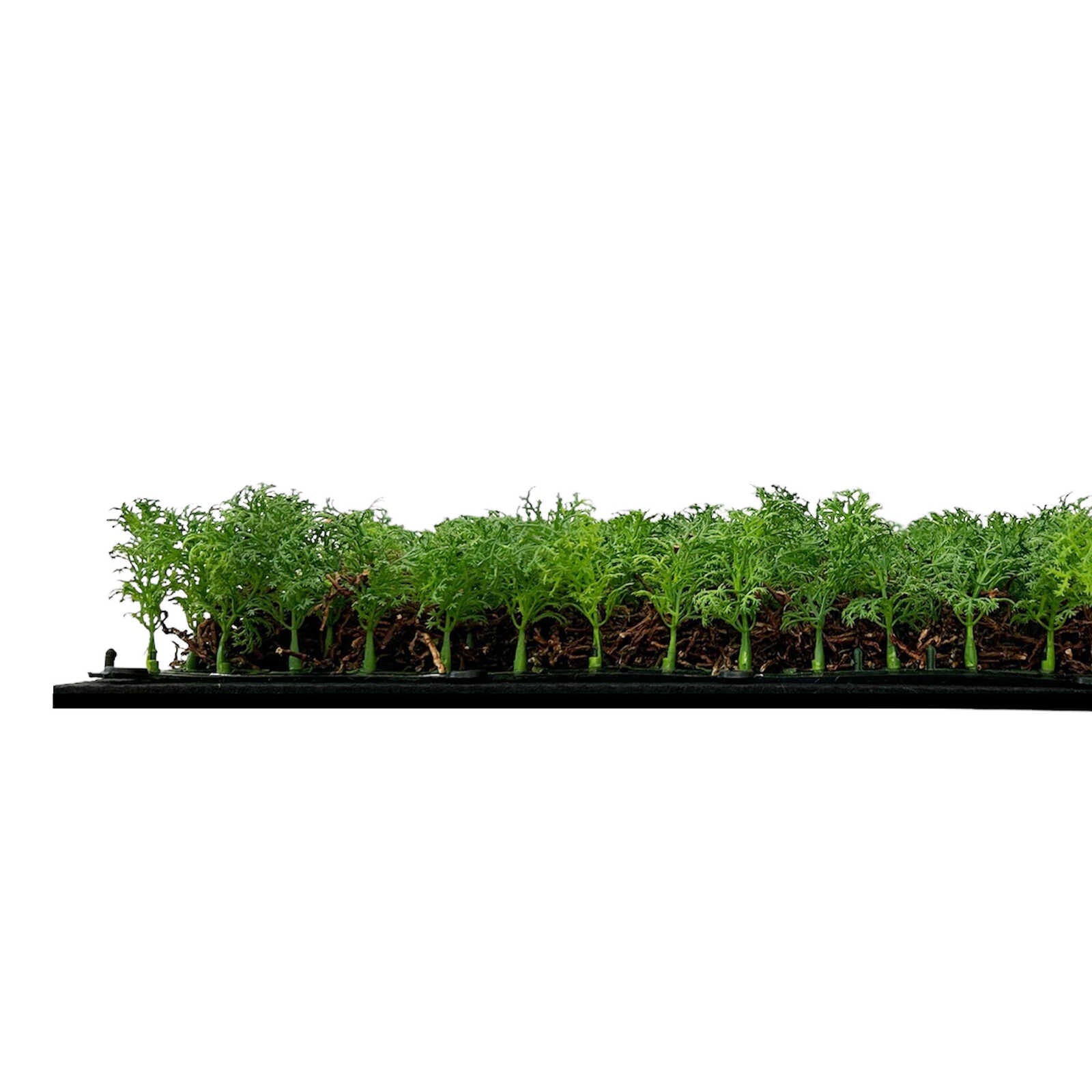 Panel Vegetal Thuja Tea Tree - Modular Wall - Foto 5