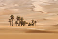 Fotomural DD Motive 2 - Dune