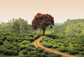 Fotomural Photo wallpaper landscape in Sri Lanka - green, red, brown - DD Motive 2