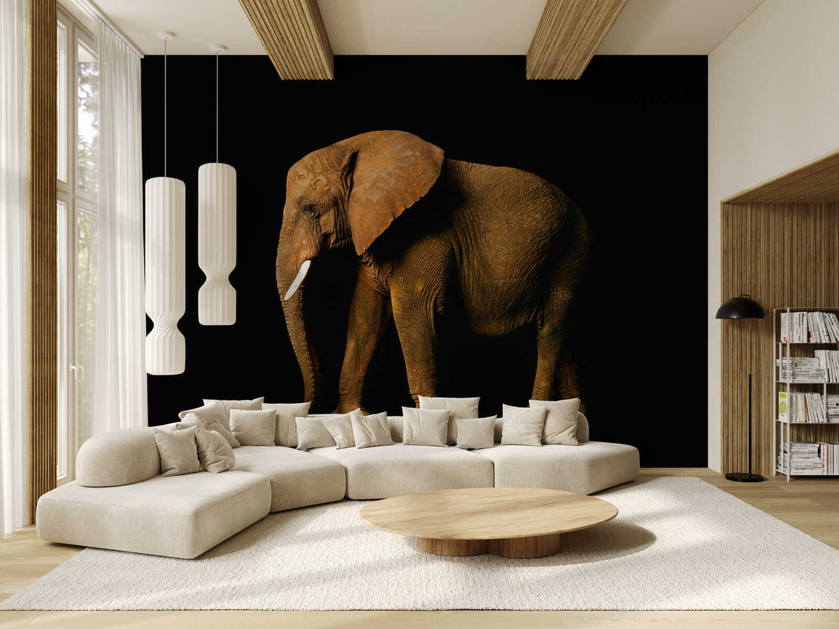 Fotomural Elephant - animal portrait mural - AP Digital 1