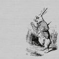 Fotomural Walls by Patel - Black and white photo wallpaper stone look & rabbit with walking stick