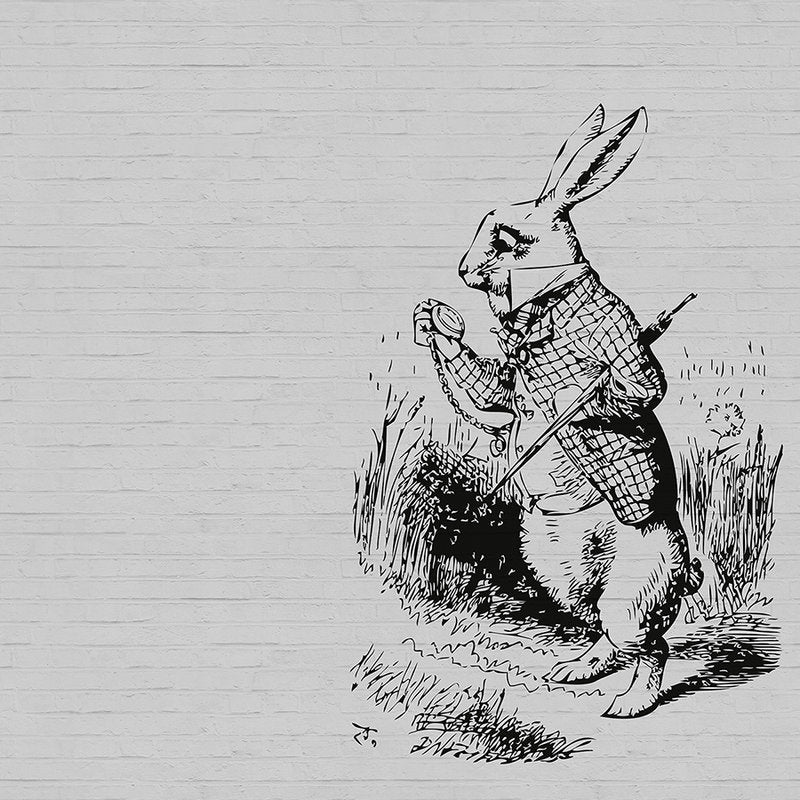 Fotomural Walls by Patel - Black and white photo wallpaper stone look & rabbit with walking stick