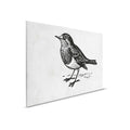 Lienzo en blanco y negro con pájaro