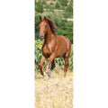 Fotomural Panel XXL 5 - Animal mural galloping horse on premium smooth fleece