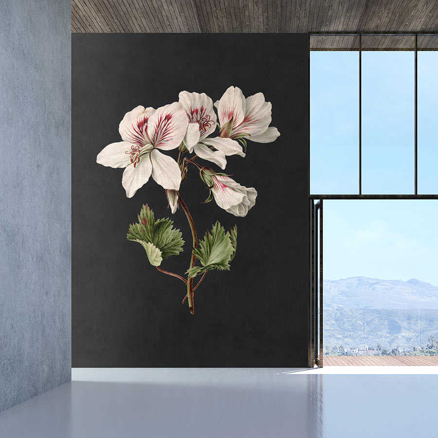 Fotomural Walls by Patel - Midnight Garden 1 - black photo wallpaper lily flower in painting style