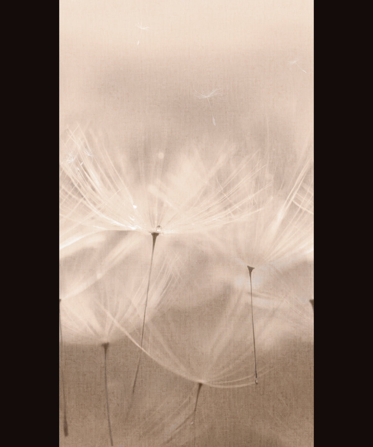 Papel Pintado Grandeco OROM 2 - 203801 - Imagen 1