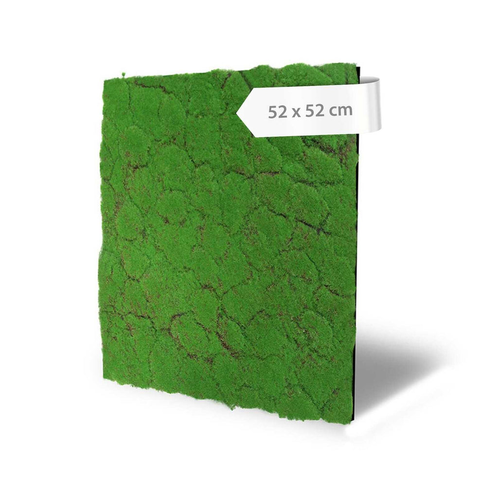 Panel de Musgo de Diseno Forest Green - Modular Wall - Foto 6