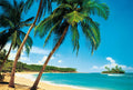 Fotomural Palm beach mural with south seas view - DD Motive 2