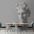 Fotomural Walls by Patel - Photo wallpaper »venus« - antique female bust - Smooth, slightly shiny premium non-woven fabric