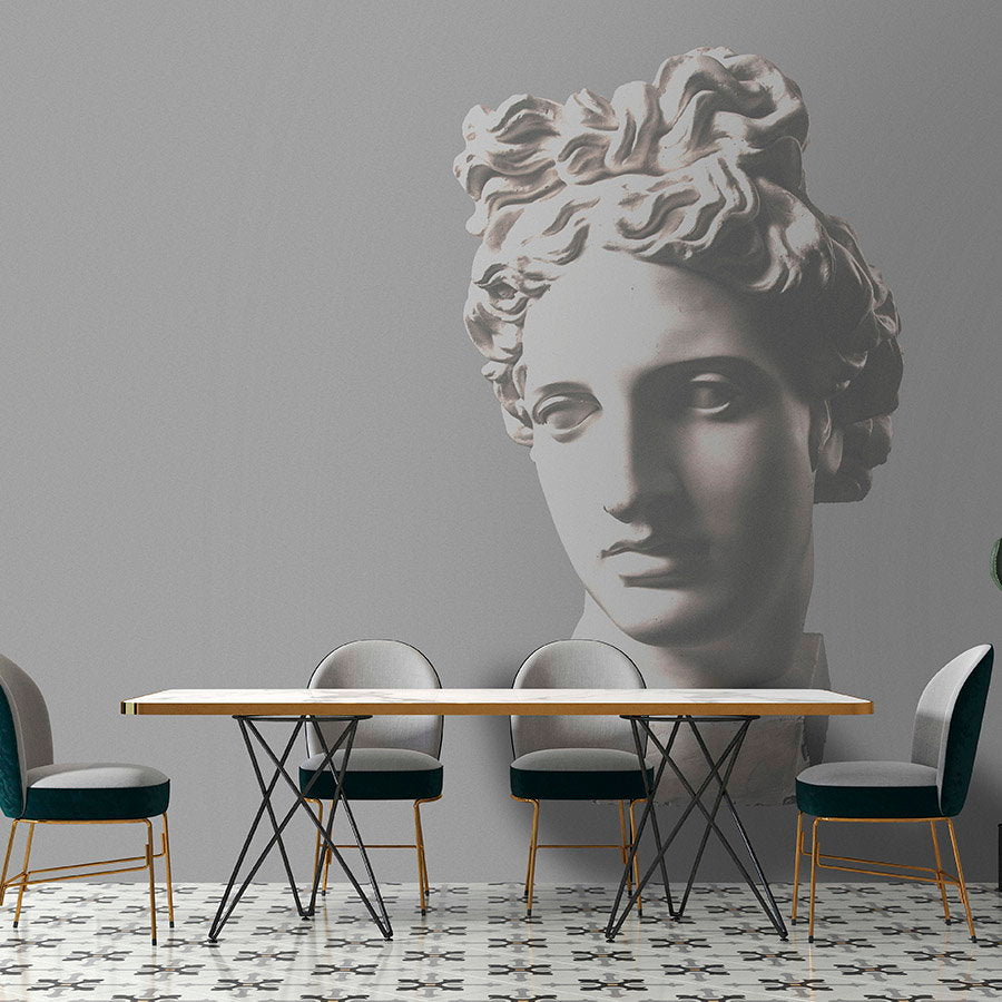 Fotomural Walls by Patel - Photo wallpaper »venus« - antique female bust - Smooth, slightly shiny premium non-woven fabric