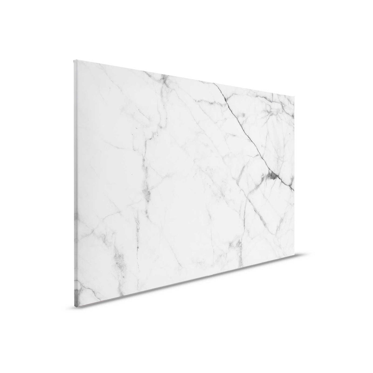 Cuadro Lienzo Blanco y Negro Mármol con Detalles Naturales