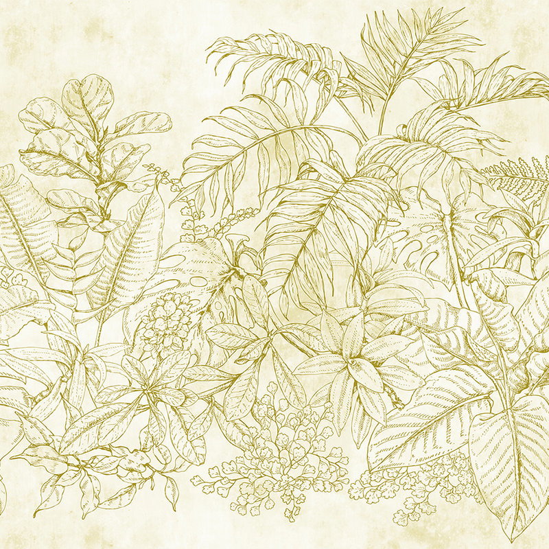 Fotomural Walls by Patel - Photo wallpaper flowers & leaves pattern - cream, beige