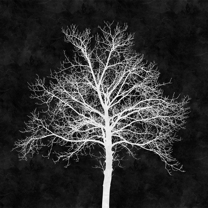 Fotomural Walls by Patel - Black and white wall mural white tree - White, Black