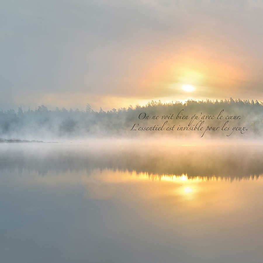 Fotomural XXL 3 - On Ne Voit
