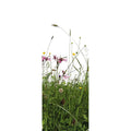 Fotomural Panel XXL 5 - Nature photo wallpaper flower meadow on premium smooth fleece
