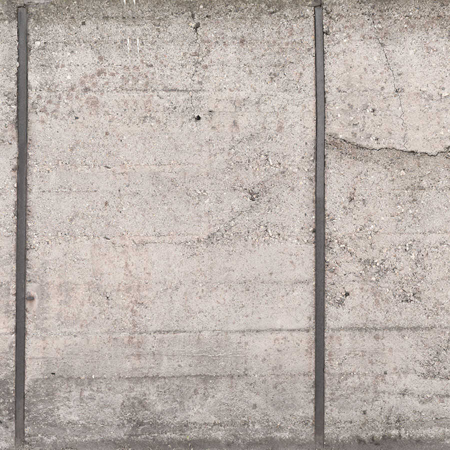 Fotomural A.S. Création Photo wallpaper Beton - AP Beton