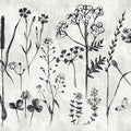 Fotomural Walls by Patel - Herbs mural for the kitchen - White, Black