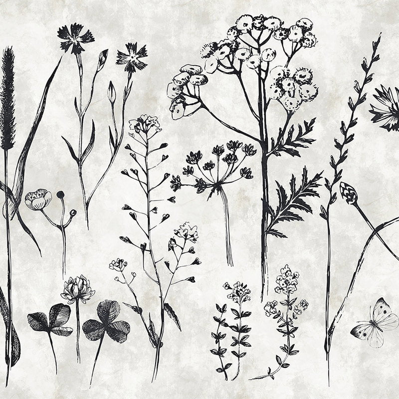 Fotomural Walls by Patel - Herbs mural for the kitchen - White, Black