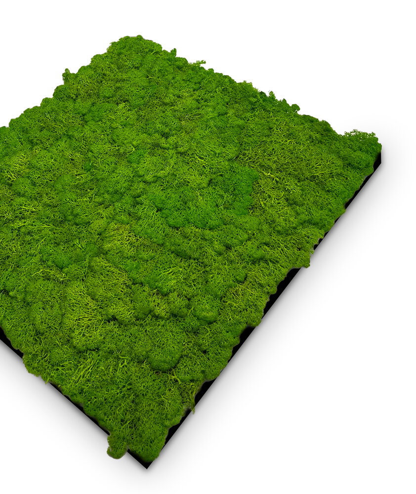 Panel Modular Wall - Bright Green 52 x 52 x 4 cm (13667-7) - Imagen 2