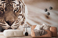 Fotomural Animal Wallpaper Close-up of Tiger - Premium Smooth Non-woven - XXL 2