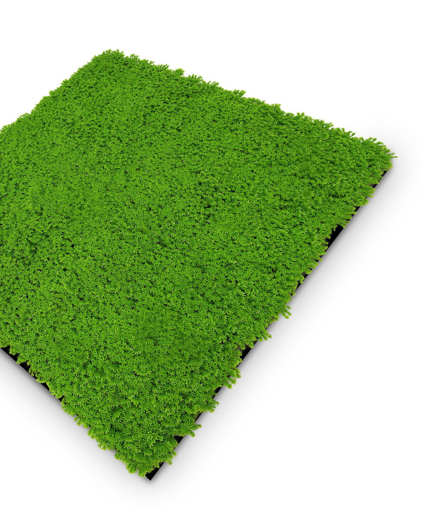 Panel de Musgo de Diseno Lime Green - Modular Wall - Foto 3