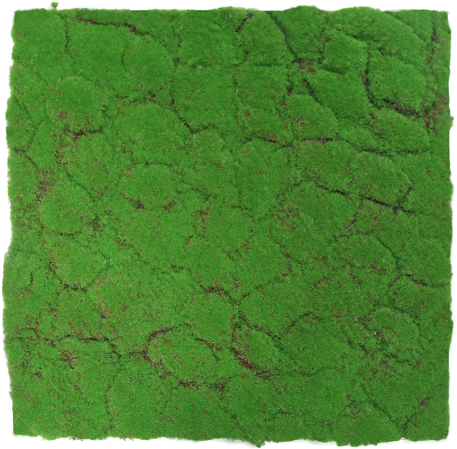 Panel Vegetal Light Green Coconut - Modular Wall - Foto 15