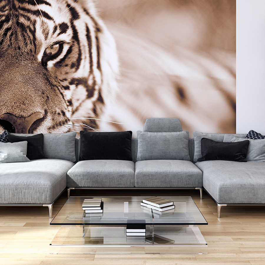 Fotomural Panel XXL 5 - Tiger mural close up outdoor on premium smooth fleece