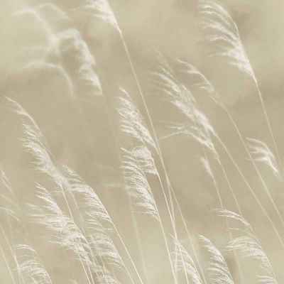 300900 Waterfront Eijffinger Papel pintado