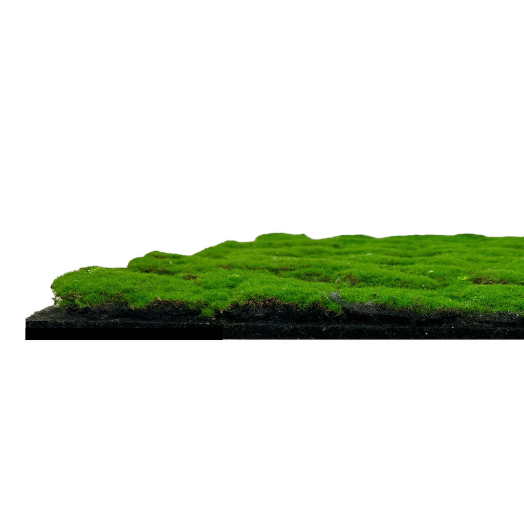 Panel de Musgo de Diseno Forest Green - Modular Wall - Foto 5