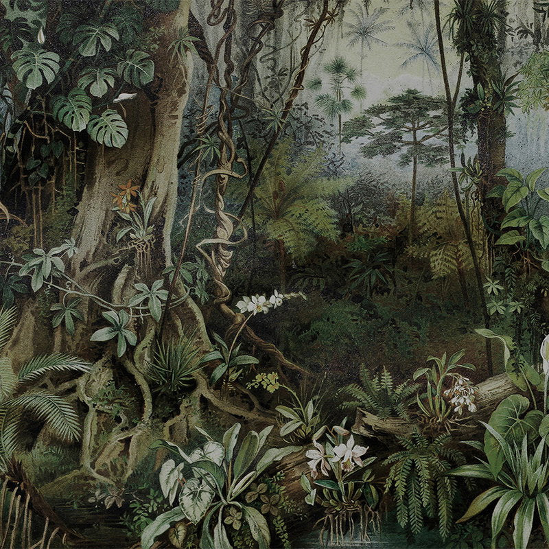 Fotomural Jungle drawing style mural - Walls by Patel